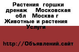 Растения ,горшки,дренаж. - Московская обл., Москва г. Животные и растения » Услуги   